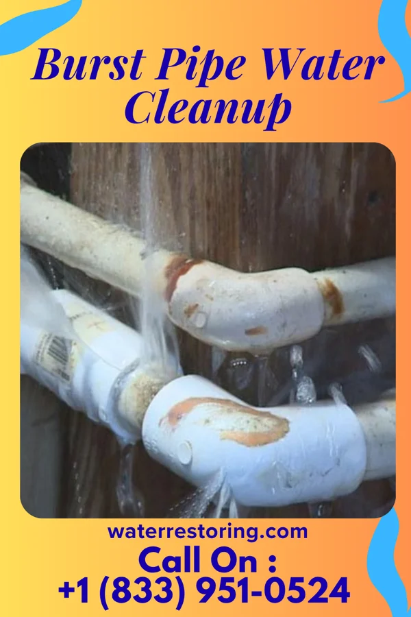 Burst Pipe Water Cleanup in Port LaBelle, FL