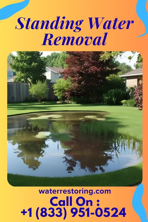 Standing Water Removal in Port LaBelle, FL